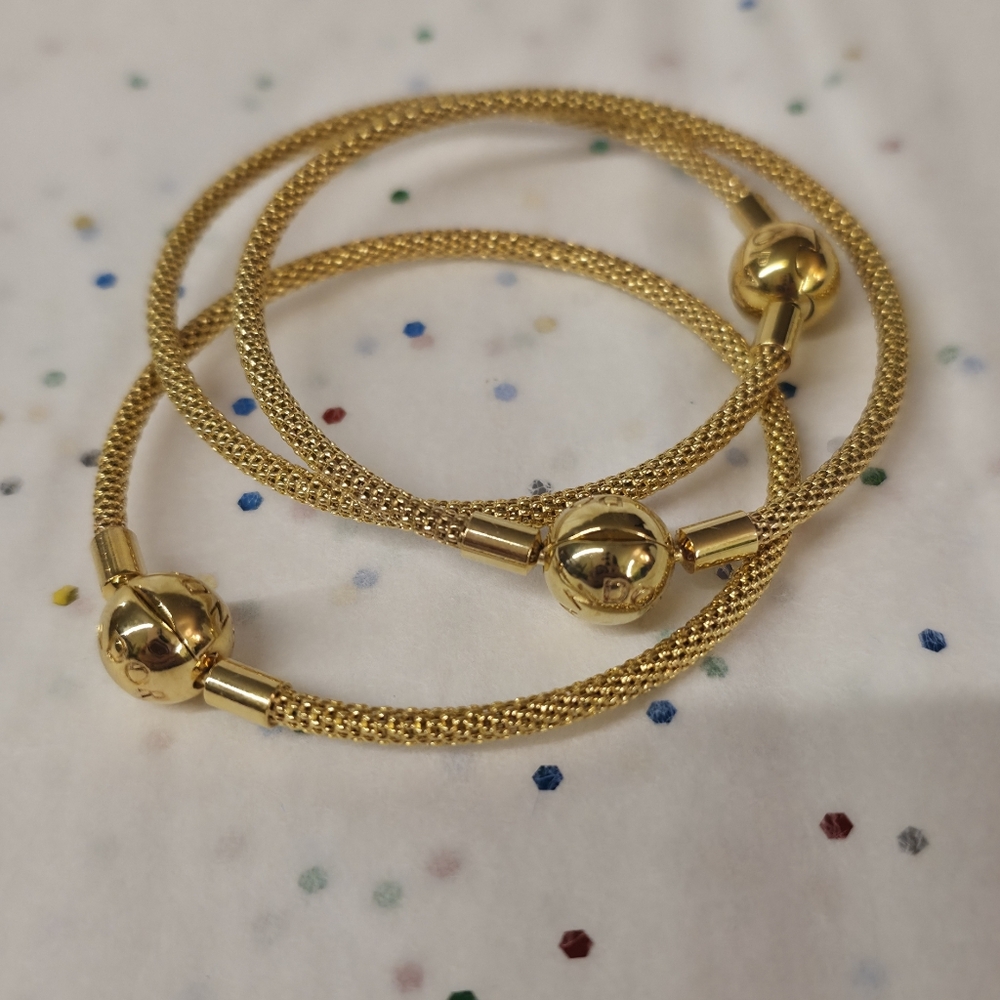 Pandora Shine Mesh Bracelet - Picture 6 of 6